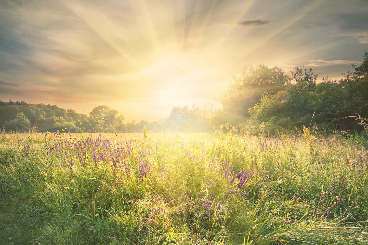 Obituary Cover Image