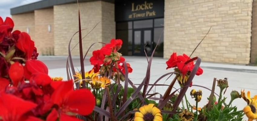 Image of Locke at Tower Park