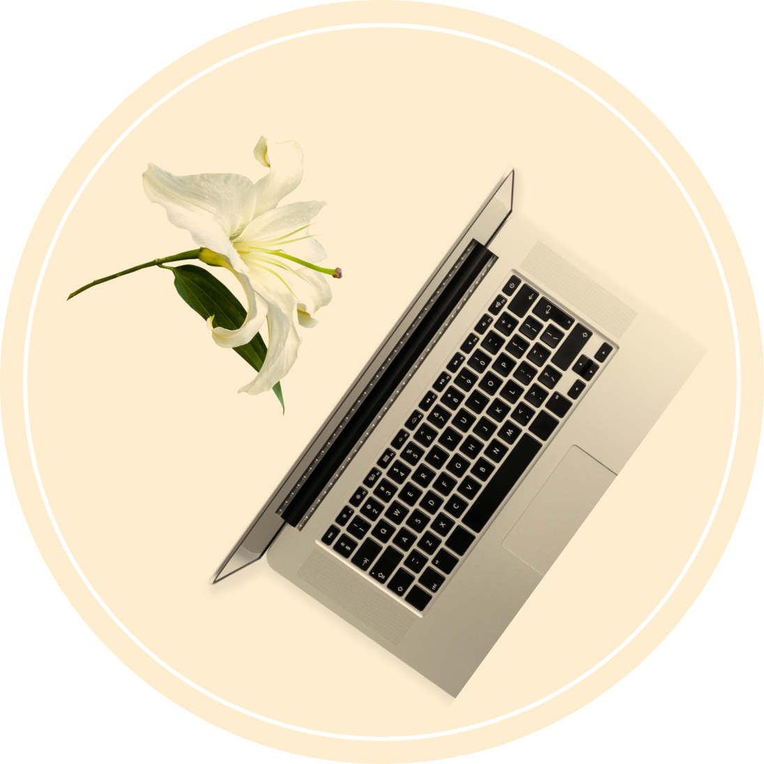 laptop and flower on yellow circle